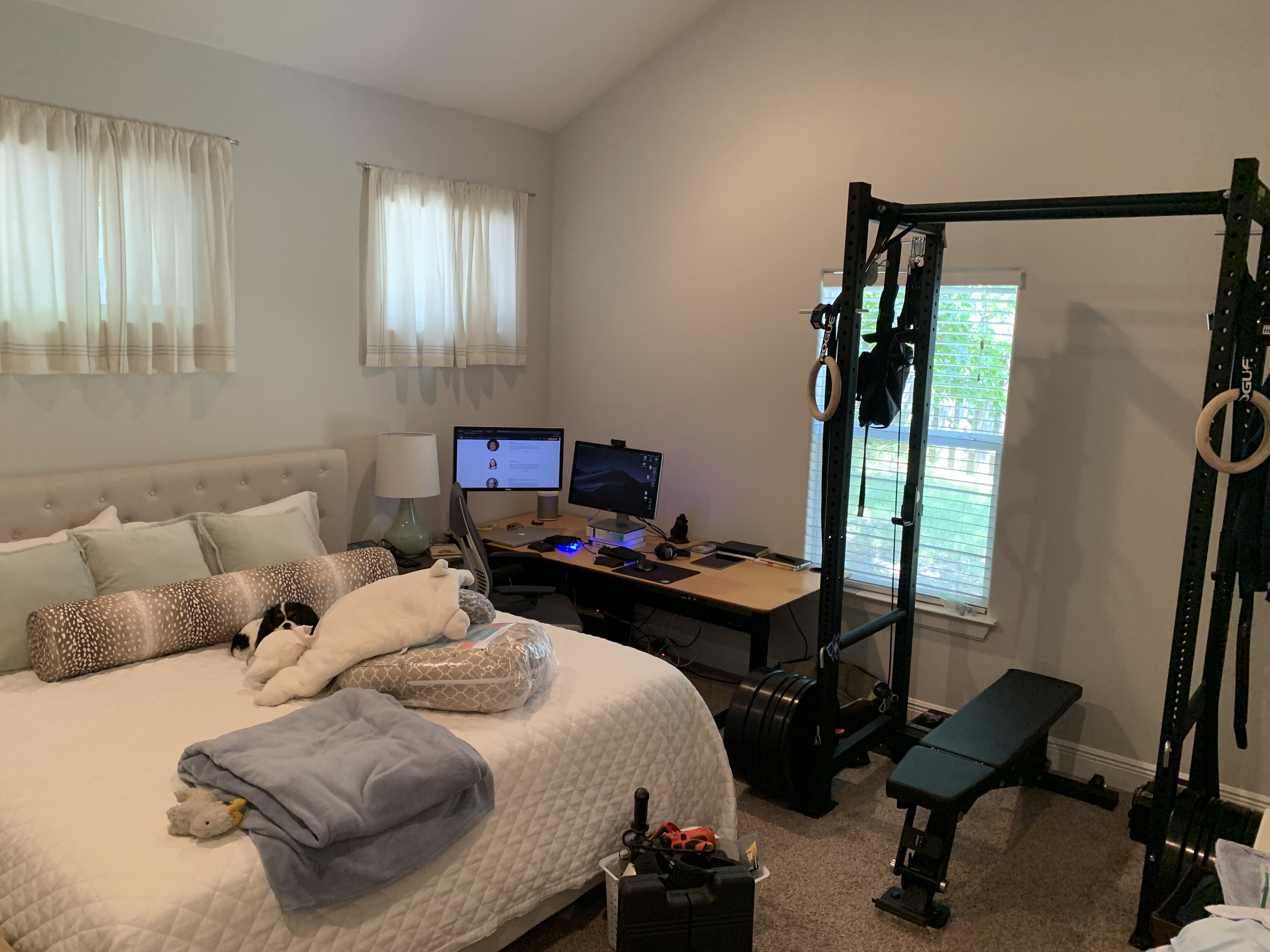squat cage in crowded bedroom next to huge desk